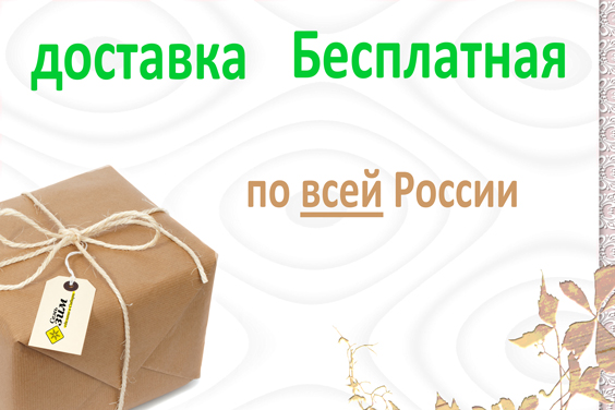 Доставка По России Одежда